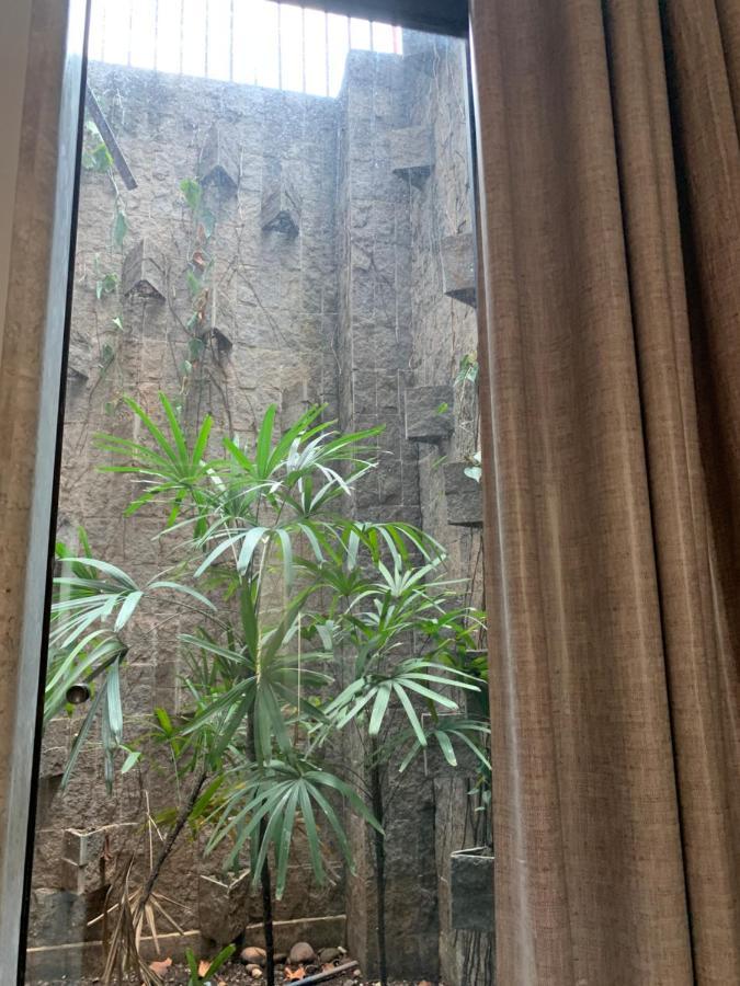 Samir Hotel Comfort Pôrto Velho Eksteriør billede